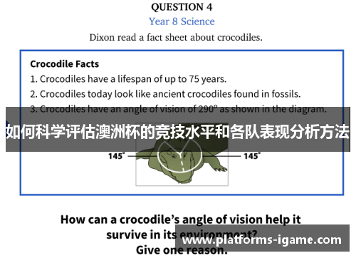 如何科学评估澳洲杯的竞技水平和各队表现分析方法