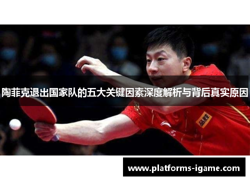 陶菲克退出国家队的五大关键因素深度解析与背后真实原因