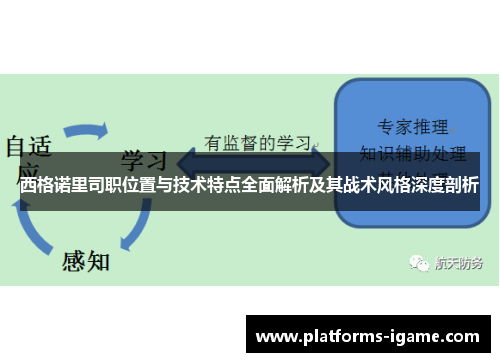 西格诺里司职位置与技术特点全面解析及其战术风格深度剖析