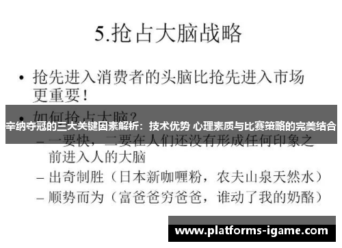 辛纳夺冠的三大关键因素解析：技术优势 心理素质与比赛策略的完美结合